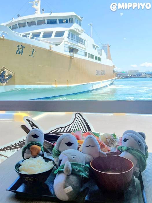 【新品未使用】駿河湾フェリー　クーポン 駿河湾フェリーの割引クーポン・チケットを手に入れる方法